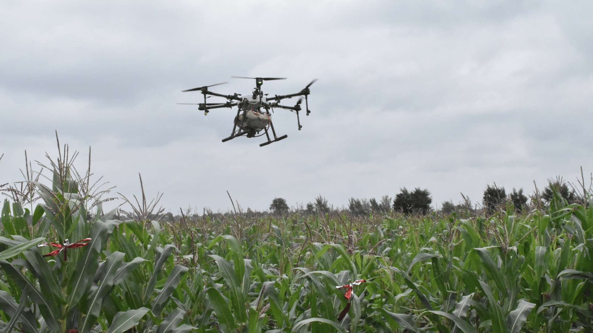 Agricultural drone