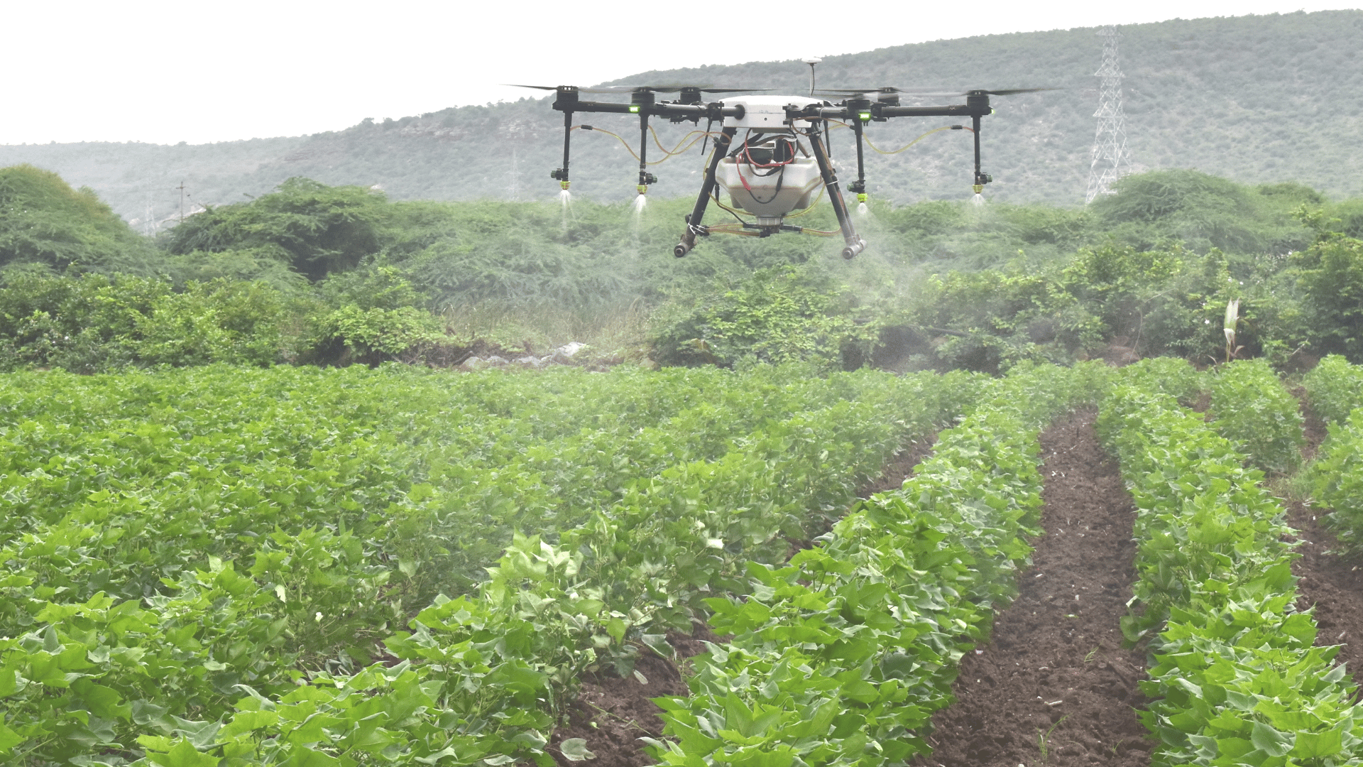 Agricultural drone