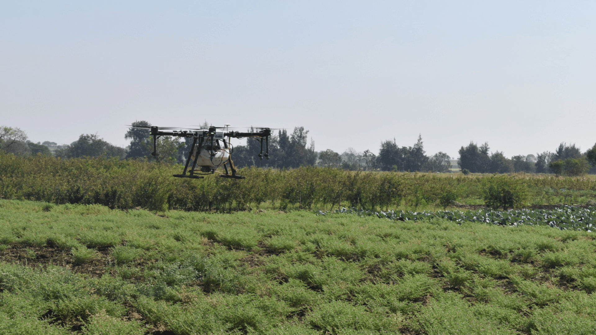 Agricultural drone