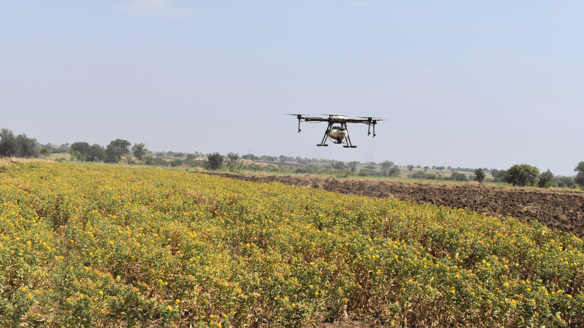 Agricultural drone